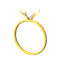 A ring for life, at the princess.